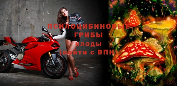 первитин Вязьма