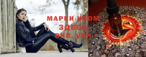 прущая мука Вяземский