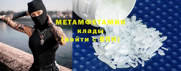прущая мука Вяземский